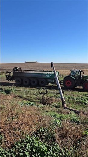 Hauling pig poo #farning #manure