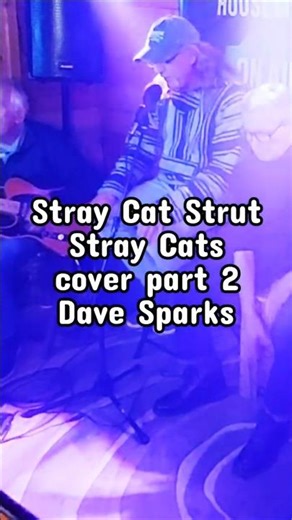 Stray Cat Strut 2 #StrayCats #cover Dave Sparks #rockabilly #rockabillyhop #music #livemusic #video