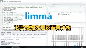 limma包 芯片数据差异分析