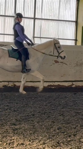 BARNEY WAS SUCH A GOOD BOY!!🥰 #horse#trending#blowup#viral#shorts#canter#equestrian#9k#fyp#edit