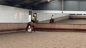 Awesome ponies 😍🐴. Training with John today. No big Ginge 🍑 in my line up today as I lent him to Ellen while Alfie’s saddle has gone to be changed for him ❤️. #dressage #yardlife #equestrian #dressagerider #dressagetraining #equestrianlife #horses #dressagehorse #blackhorse #chestnuthorse #poweredbyprotexin #wellgelproducts #drimee #sophieplummerjonestherapy #jemmabeattyedt #fedonsaracenshorsefeeds #oshdressage | OSH Dressage