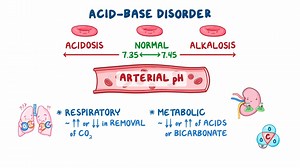 Video: Approach to acid-base disorders: Clinical sciences - Video Explanation! | Osmosis | Osmosis