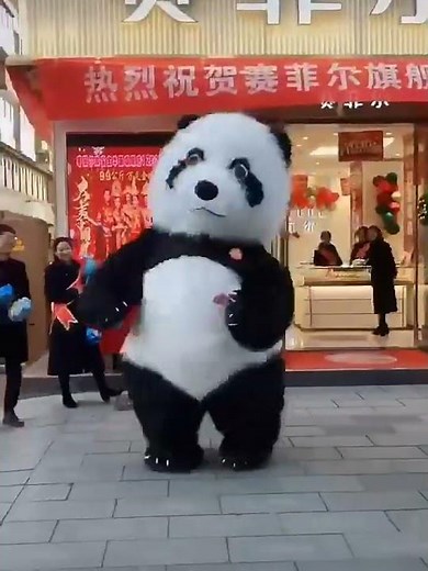 Wear Inflatable Furry Panda Costume Dance Freely in the Street for Entertainments