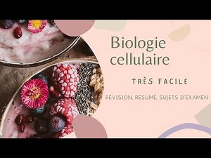 Noyau interphasique_bio cel très facile_L1 biologie