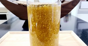 Making ginger extract! Making ginger syrup suitable for cooking.