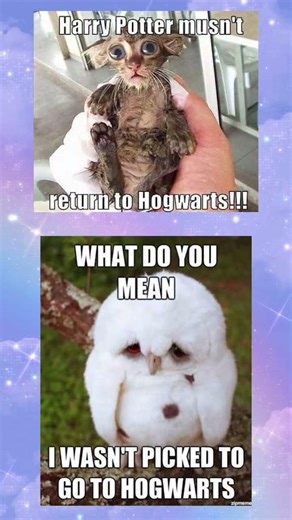Harry Potter meme world-“Hogwarts Rejection Gone Wrong 😂 | Funny Animal” #memes #shorts #harrypotter