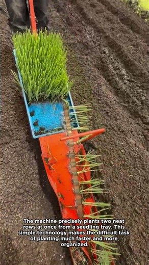 Efficient Farming: The Hand-Push Planter