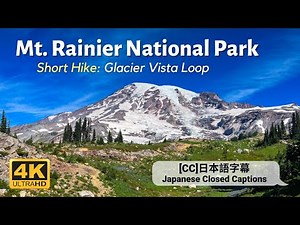 Mt Rainier National Park | Paradise Hike | Glacier Vista Loop via Alta Vista