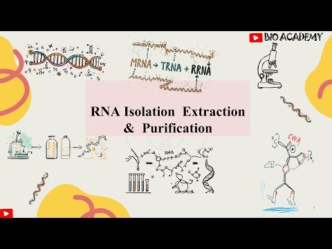 RNA Isolation, Extraction & Purification | Techniques for CSIR NET, GATE, DBT, ICMR