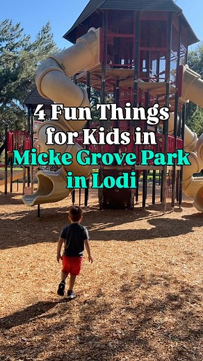 4.1K views · 7 comments | Save this for your next day in Lodi with...