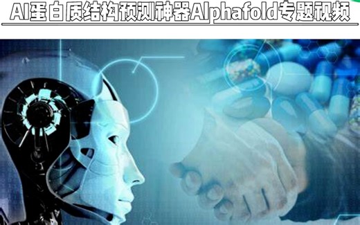 AI蛋白质结构预测神器Alphafold专题视频