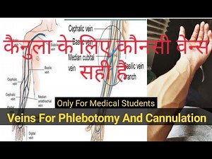 Cannula Site Findings Childrens And Adults / Veins For Cannulation