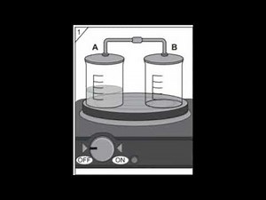 Summarize an Academic Presentation (ELPAC Practice Test Grades 11-12)