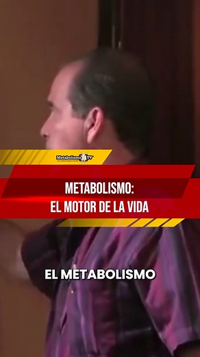 29K views · 837 reactions | Metabolismo: Es el motor de la vida en movimiento. Se trata del proceso esencial que convierte los alimentos en energía para cada célula de tu cuerpo. Es la fuerza que impulsa tus actividades diarias, tus pensamientos y tus emociones. Puedes imaginar tu metabolismo como un motor en constante funcionamiento. #MetabolismoTV #ElPoderDelMetabolismo #MetabolismoLento | MetabolismoTV | Facebook
