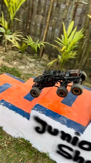 #RC Model #Car Model #Remote Control Model #They Actually Play with Car Models Like This | Wood Workings