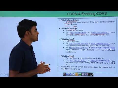 REST API - CORS and Enabling CORS