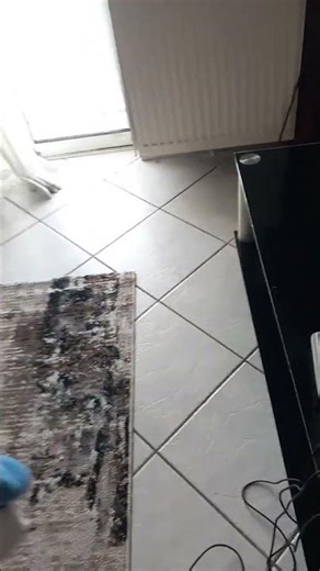 donald duck tv prank