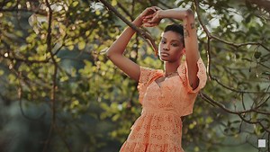 A Review of Sigma's 105mm f/1.4 Art Lens