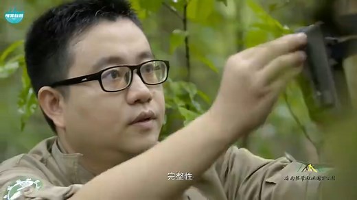 【中国国家公园系列】海南热带雨林国家公园 China National Parks: Hainan Tropical Forest NP