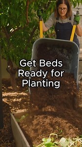 Healthy soil is the foundation for healthy, productive plants. Preparing your beds before planting can make all the difference in the success of your garden. As organic matter decomposes, the soil level in your beds naturally goes down and needs replenishment. About 2-3 weeks before planting, cut back your cover crops at the soil level and pull back the mulch, leaving the cut plants on the soil surface. Then, enrich the beds by adding worm castings, compost and raised bed mix to prepare them for