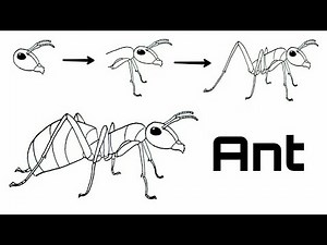 HOW TO DRAW AN ANT EASY
