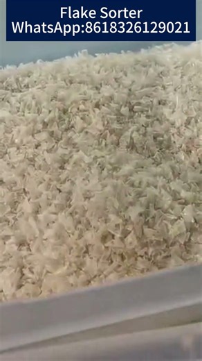Flake Sorter#plasticflake #bottleflakes #plasticrecycling #recycling #colorsorter WA:8618326129021