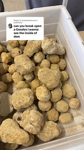 87K views · 958 reactions | Want to mine for crystals at home? We’ve got you covered! Come see our customizable mining buckets! Then comment BAB to get yours! #declansminingco #crystals #gemstones #kidsactivities #miningbucket | Declan's Mining Co. | Facebook