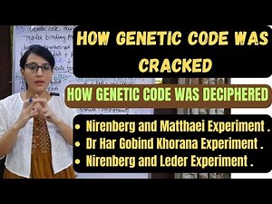 How genetic code was cracked || Nirenberg and Matthaei Experiment || Nirenberg and Leder Experiment