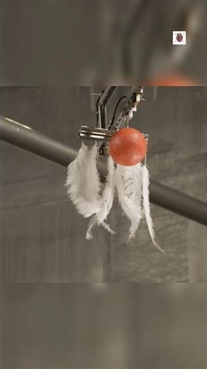 Apple vs Feather Experiment in Vacuum Proves Gravity Works Equally On All Objects 😱