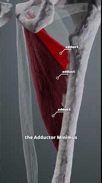 عرق النساء#آلام الظهر# اسباب انزلاق الفقرات#العلاج الطبيعي للفقرات #viral Short#اسباب التنميل#علاج