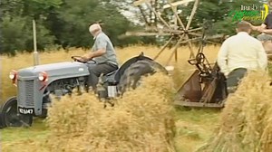 Brian Coll - The Old Bog Road For great Country Music 24 hours a day tune in to: https://www.kelticcountry.com Sponsor: GaelicArt.com | Irish Music Memories