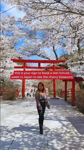 Planning a last minute trip for the 2026 cherry blossom season? 🌸 It’s not too late!
