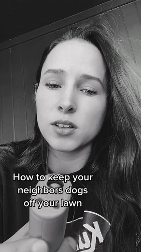 Effective Ways to Keep Neighbors' Dogs Away from Your Yard