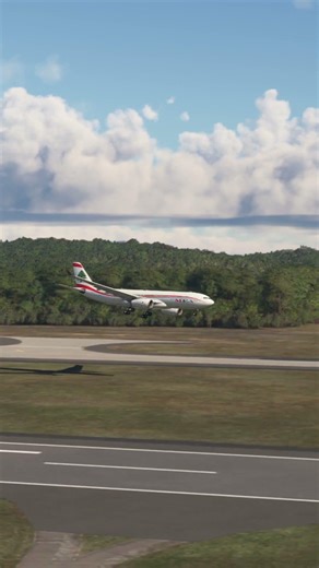 Emergency Landing – Pilot Fighting to Keep Control #020