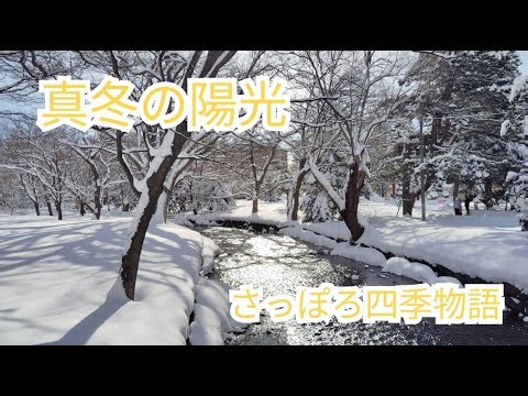 真冬の陽光 さっぽろ四季物語