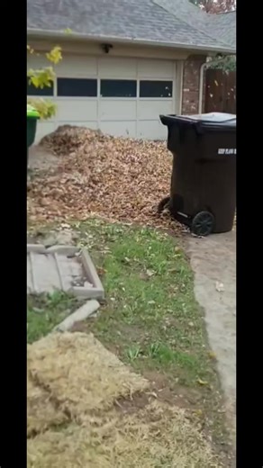 # POLO LANDSCAPES AUTOMATIC IRRIGATION AND LANDSCAPING EXPERTS IN DALLAS, TX FREE QUOTE! Call us today: 214-413-9896 Transforming this yard into a beautiful and vibrant space! See the incredible before #LandscapingServices #TreeTrimming #LawnCareExperts #IrrigationSystem #FrenchDrains Are you trusting the best for your lawn care in Dallas, Texas? At Polo Landscape, we don’t just mow we design, care for, and adapt every yard to the local Texas soil and climate. Take a look at some of our recent p