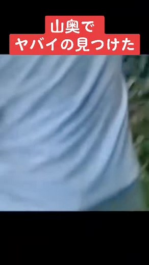 TikTokで日本ホラーチャンネルさんをチェック！