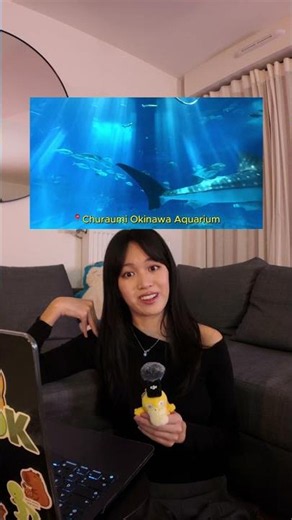 THINGS TO DO IN OKINAWA JAPAN