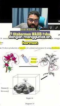 Dua fitohormon wajib tahu