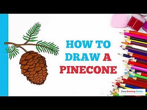 How to Draw a Pinecone in a Few Easy Steps: Drawing Tutorial for Beginner Artists
