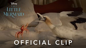 436K views · 9.4K reactions | You'll be like WHAT?!  When I drop that scuttlebutt!  Disney's #TheLittleMermaid is now playing only in theaters! Watch the video for "The Scuttlebutt" from Disney's #TheLittleMermaid, performed by Awkwafina and Daveed Diggs, out now: https://youtu.be/N4ovRhX8XIM | Walt Disney Studios | Facebook