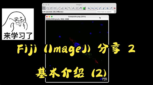 Fiji （is just ImageJ）2 -- 基本介绍 （2）