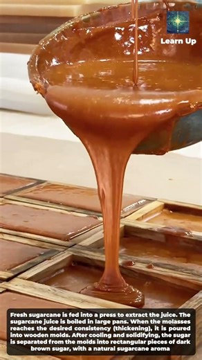 Witnessing the Traditional Sugar Cane Making Process