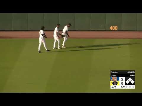 🐢 Turtle interrupts minor league baseball game via MILB