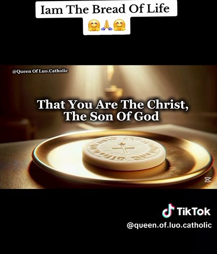 Understanding Communion in the Catholic Faith