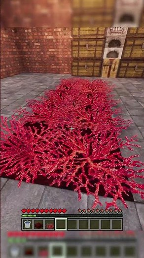 Realistic “Carpet” Trick Using Water + Corals | Minecraft Decor