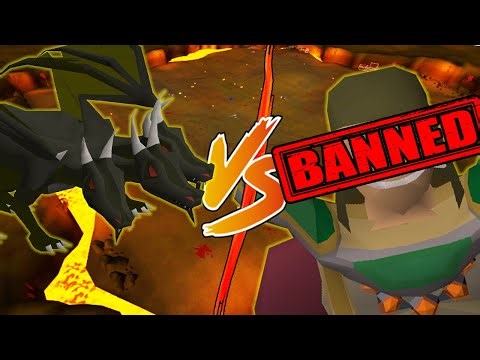 How a KBD pet grind got my HP pure permanently banned