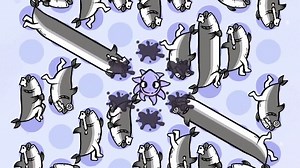 这关很难过第276关