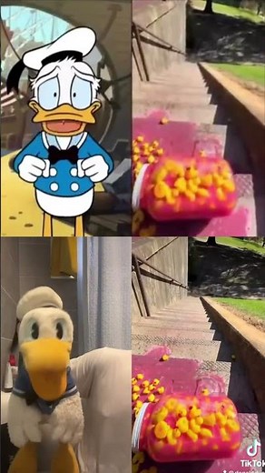 Donald Ducc OR Donald Ducc Animation?