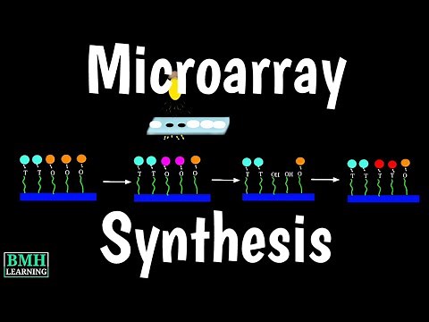 DNA Microarray Synthesis | DNA Microarray Fabrication |